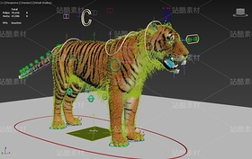 老虎、东北虎（导航-121647） - 未分类 - 站酷设计师Z192349568原创素材 - 站酷ZCOOL