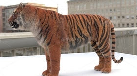 老虎、東北虎（導(dǎo)航-121653） - 未分類 - 站酷設(shè)計(jì)師Z192349568原創(chuàng)素材 - 站酷ZCOOL