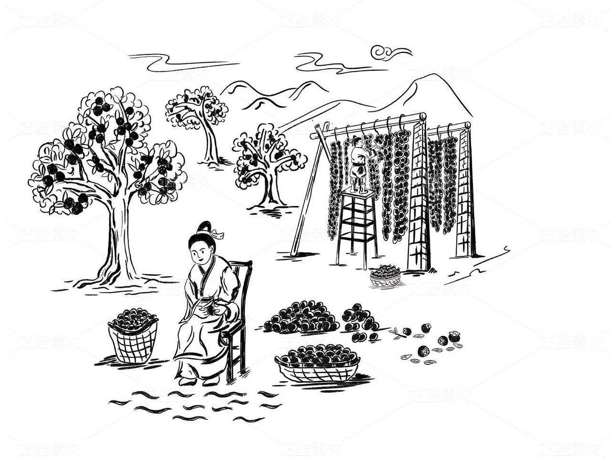 富平柿餅 歷史文化插畫(huà)素材（主預(yù)覽-123847） - 未分類(lèi) - 站酷設(shè)計(jì)師胡曉東設(shè)計(jì)原創(chuàng)素材 - 站酷ZCOOL