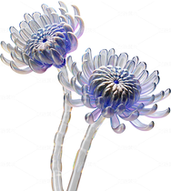 全息透明未來科技感創(chuàng)意花朵圖形（導航-124507） - 未分類 - 站酷設計師AIGC微微原創(chuàng)素材 - 站酷ZCOOL