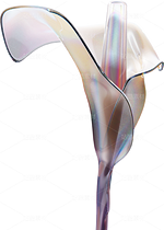 全息透明未來科技感創(chuàng)意花朵圖形（導航-124505） - 未分類 - 站酷設計師AIGC微微原創(chuàng)素材 - 站酷ZCOOL