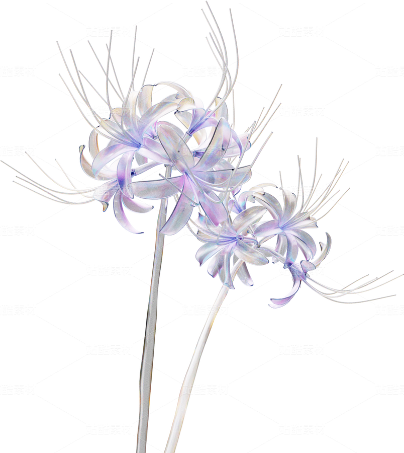 全息透明未來科技感創(chuàng)意花朵圖形（主預覽-124506） - 未分類 - 站酷設計師AIGC微微原創(chuàng)素材 - 站酷ZCOOL