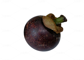 水果（導(dǎo)航-9116754） - 未分類 - 站酷設(shè)計(jì)師莉娃LC原創(chuàng)素材 - 站酷ZCOOL