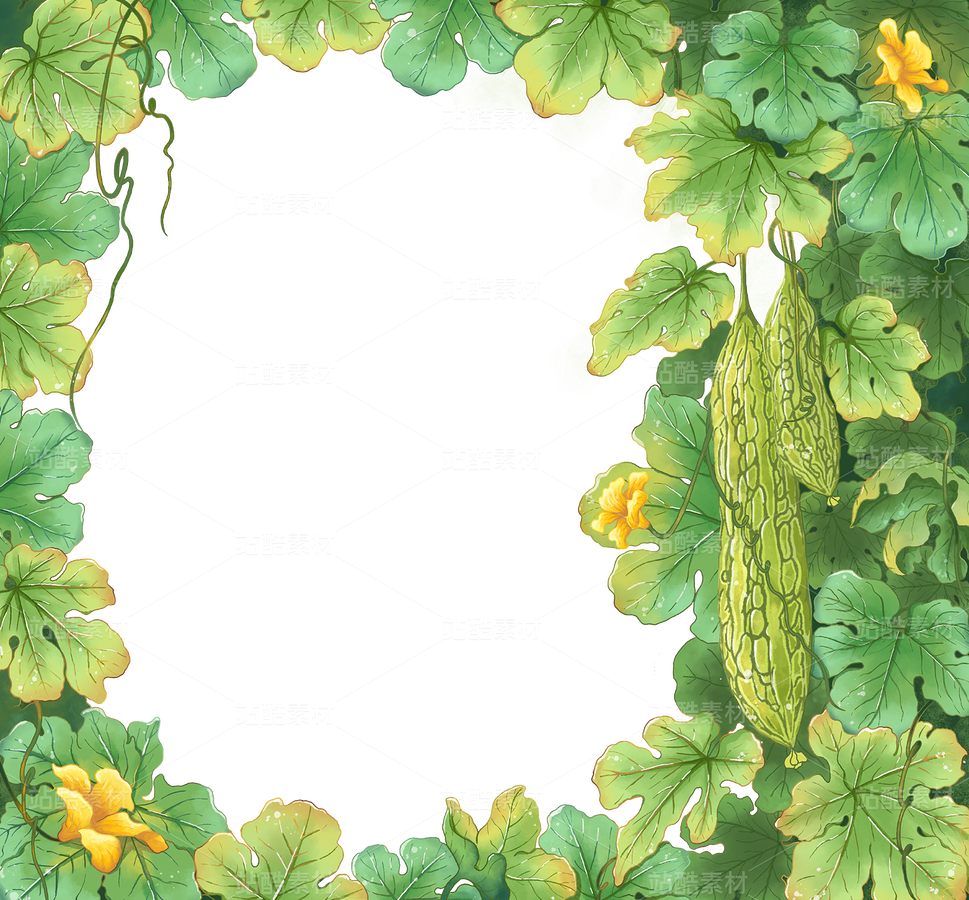 手繪苦瓜插畫畫框免扣圖（主預(yù)覽-9122963） - 未分類 - 站酷設(shè)計(jì)師汽水溫度原創(chuàng)素材 - 站酷ZCOOL