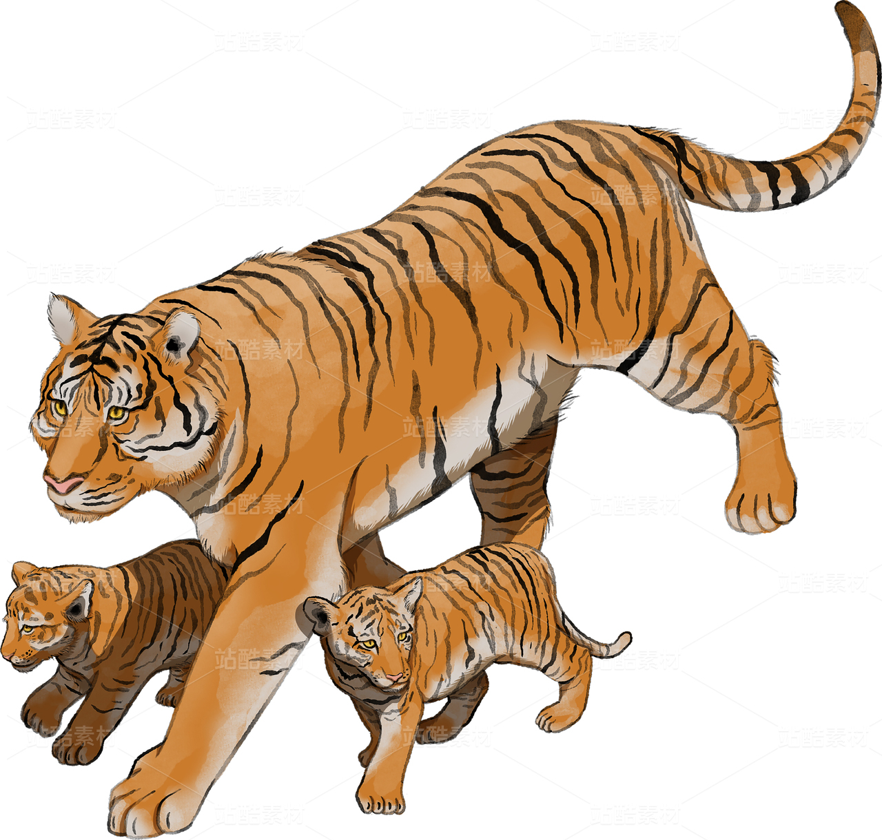 苏门答腊虎母子插画