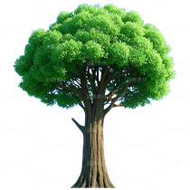 樹（導航-9126128） - 未分類 - 站酷設(shè)計師拳太陽原創(chuàng)素材 - 站酷ZCOOL