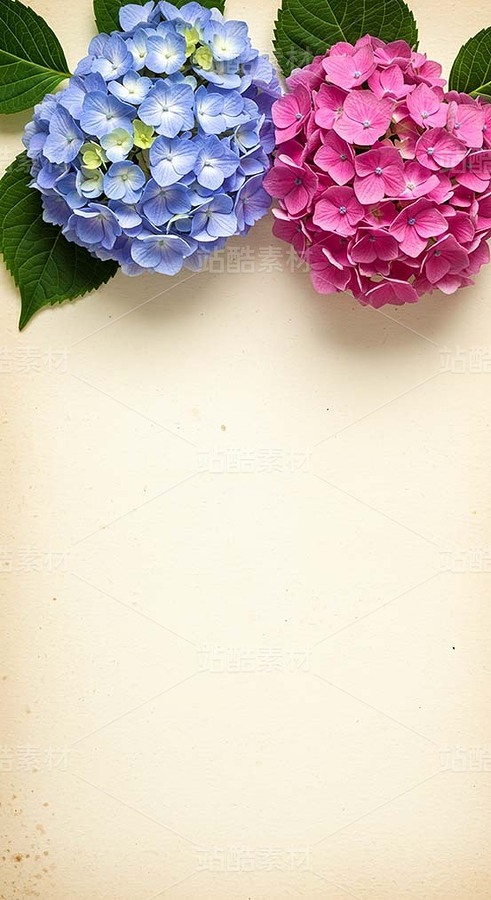 米黃色背景上的杜鵑花、繡球花（套圖）（主預(yù)覽-9128431） - 未分類 - 站酷設(shè)計師白雪魔鏡原創(chuàng)素材 - 站酷ZCOOL