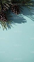 藍(lán)綠色背景上的松針、松果和白色花朵（套圖）（導(dǎo)航-9128443） - 未分類 - 站酷設(shè)計師白雪魔鏡原創(chuàng)素材 - 站酷ZCOOL