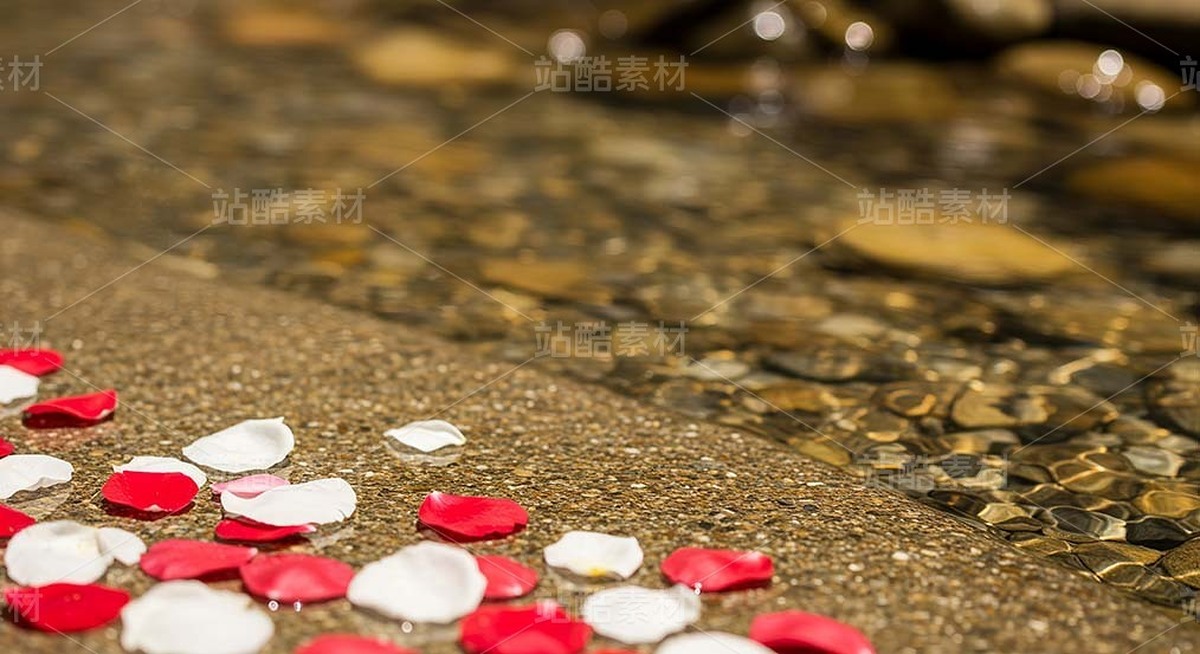 漂浮在浅滩水面的花瓣和金鱼（套图）（主预览-9128624） - 未分类 - 站酷设计师白雪魔镜原创素材 - 站酷ZCOOL