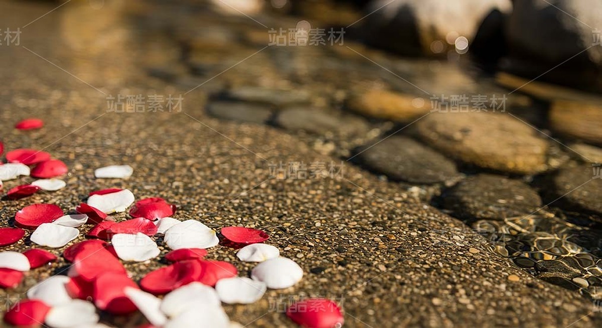 漂浮在浅滩水面的花瓣和金鱼（套图）（主预览-9128626） - 未分类 - 站酷设计师白雪魔镜原创素材 - 站酷ZCOOL