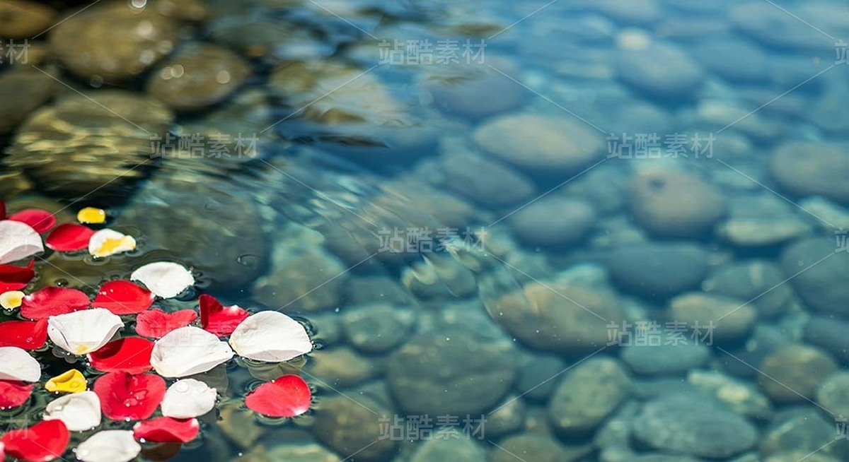 漂浮在浅滩水面的花瓣和金鱼（套图）（主预览-9128628） - 未分类 - 站酷设计师白雪魔镜原创素材 - 站酷ZCOOL
