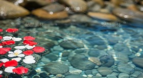 漂浮在浅滩水面的花瓣和金鱼（套图）（导航-9128629） - 未分类 - 站酷设计师白雪魔镜原创素材 - 站酷ZCOOL