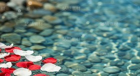 漂浮在浅滩水面的花瓣和金鱼（套图）（导航-9128630） - 未分类 - 站酷设计师白雪魔镜原创素材 - 站酷ZCOOL