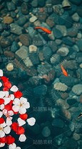 漂浮在浅滩水面的花瓣和金鱼（套图）（导航-9128634） - 未分类 - 站酷设计师白雪魔镜原创素材 - 站酷ZCOOL
