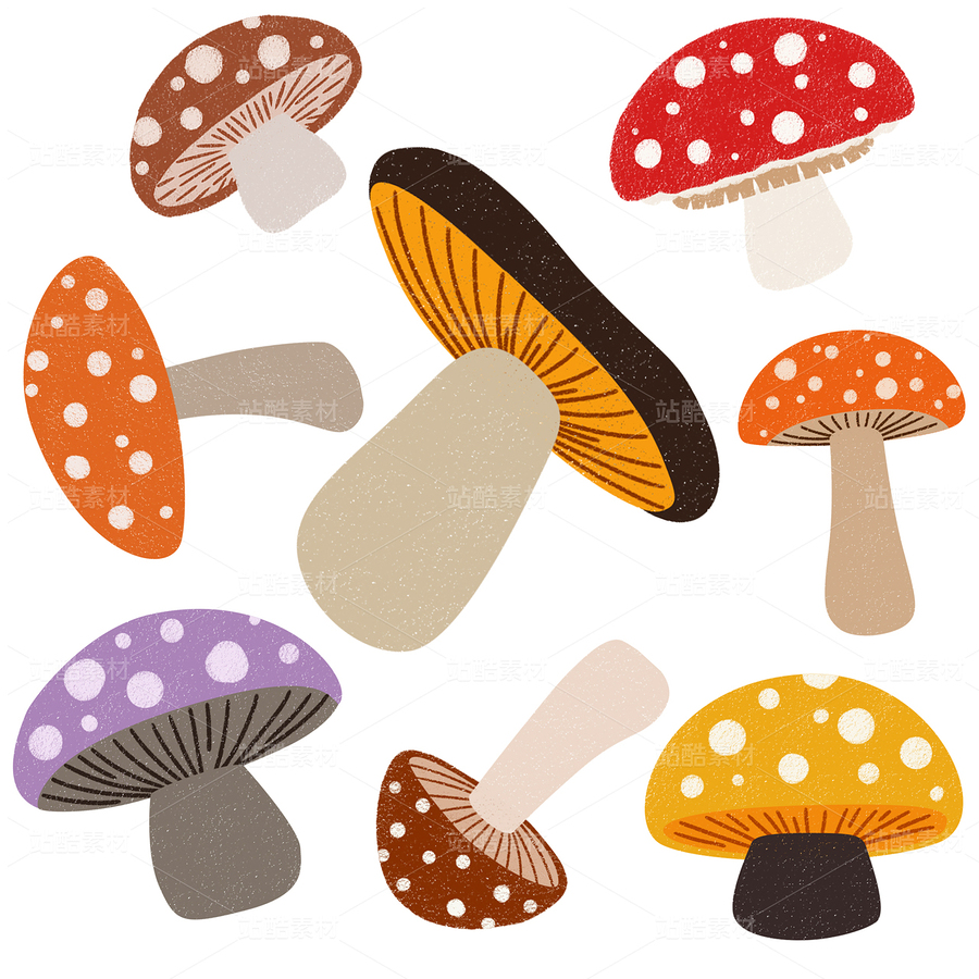 蘑菇合集01（主預(yù)覽-9128908） - 未分類 - 站酷設(shè)計師一桶咸魚原創(chuàng)素材 - 站酷ZCOOL