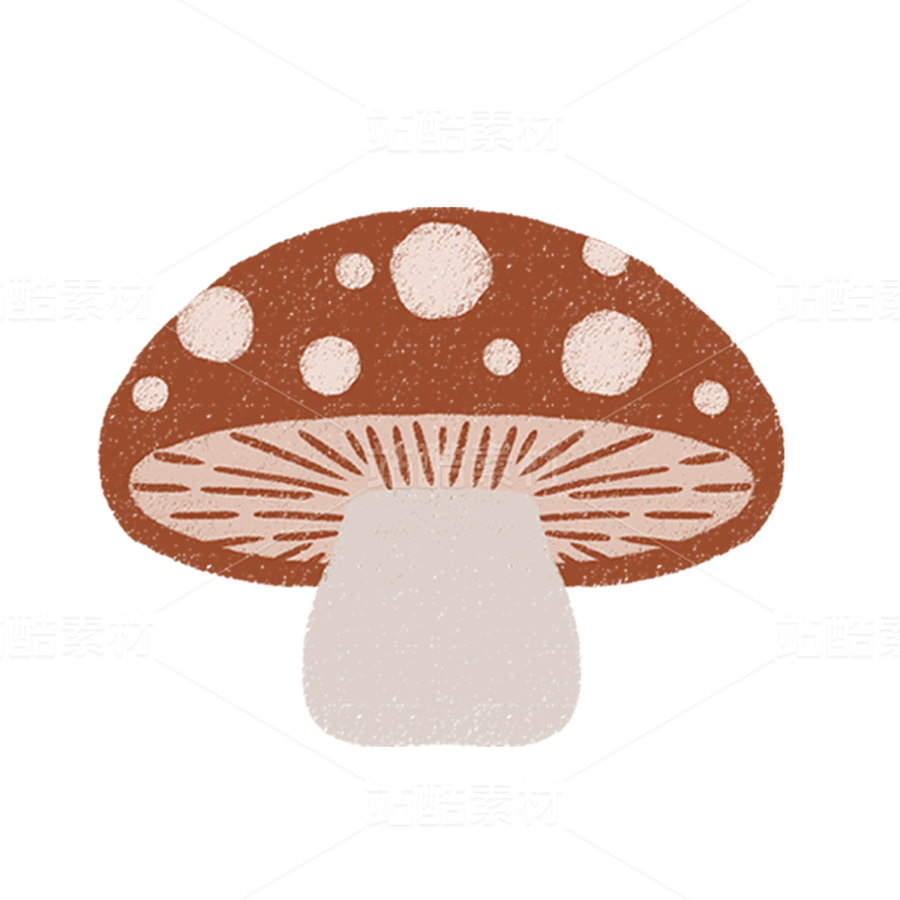 蘑菇合集01（主預(yù)覽-9128909） - 未分類 - 站酷設(shè)計師一桶咸魚原創(chuàng)素材 - 站酷ZCOOL