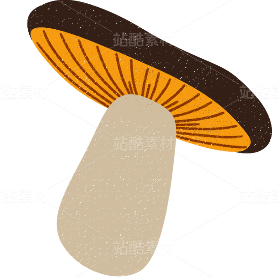 蘑菇合集01（主預(yù)覽-9128910） - 未分類 - 站酷設(shè)計師一桶咸魚原創(chuàng)素材 - 站酷ZCOOL