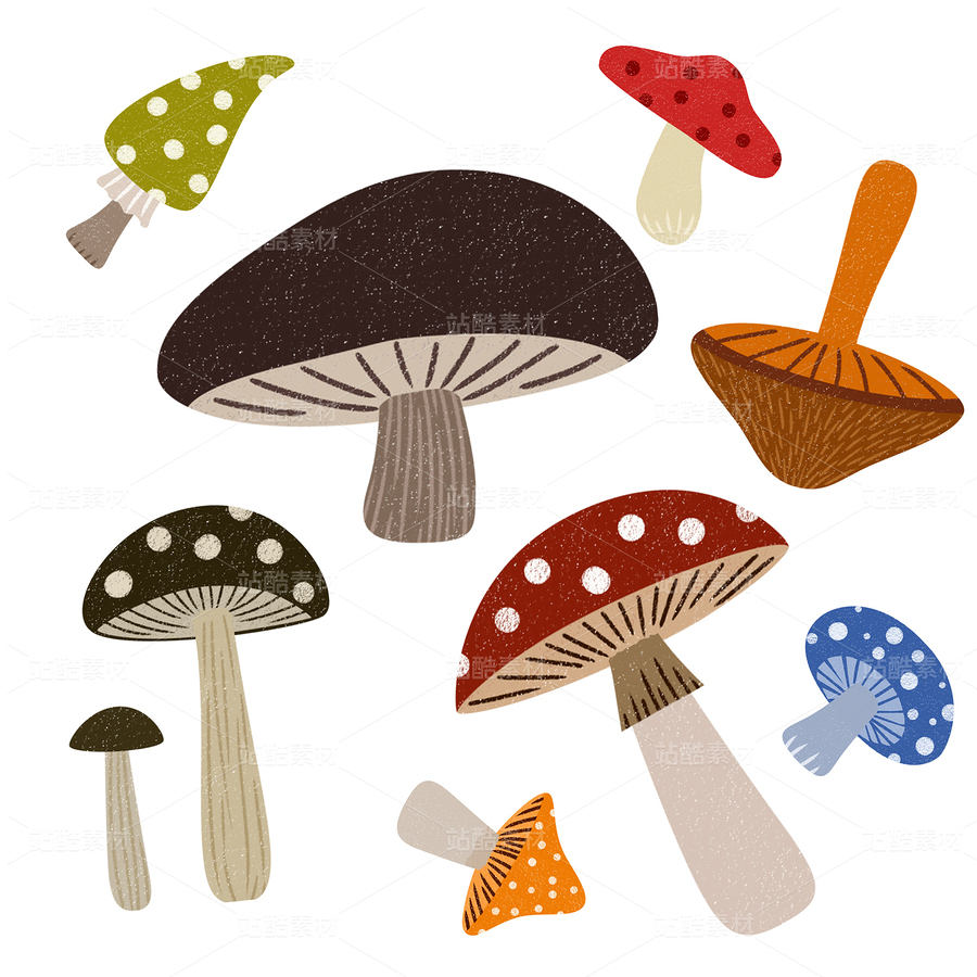 蘑菇合集03（主預(yù)覽-9128930） - 未分類(lèi) - 站酷設(shè)計(jì)師一桶咸魚(yú)原創(chuàng)素材 - 站酷ZCOOL