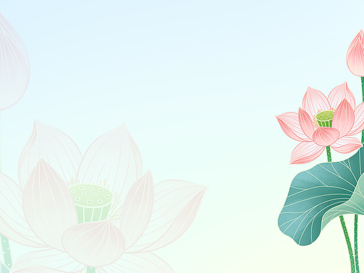 荷花 设计模板012