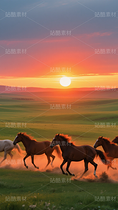 高清摄影,壁纸,草原骏马图(导航-9913936) - 未分类 - 站酷设计师JourneyShan原创素材 - 站酷ZCOOL