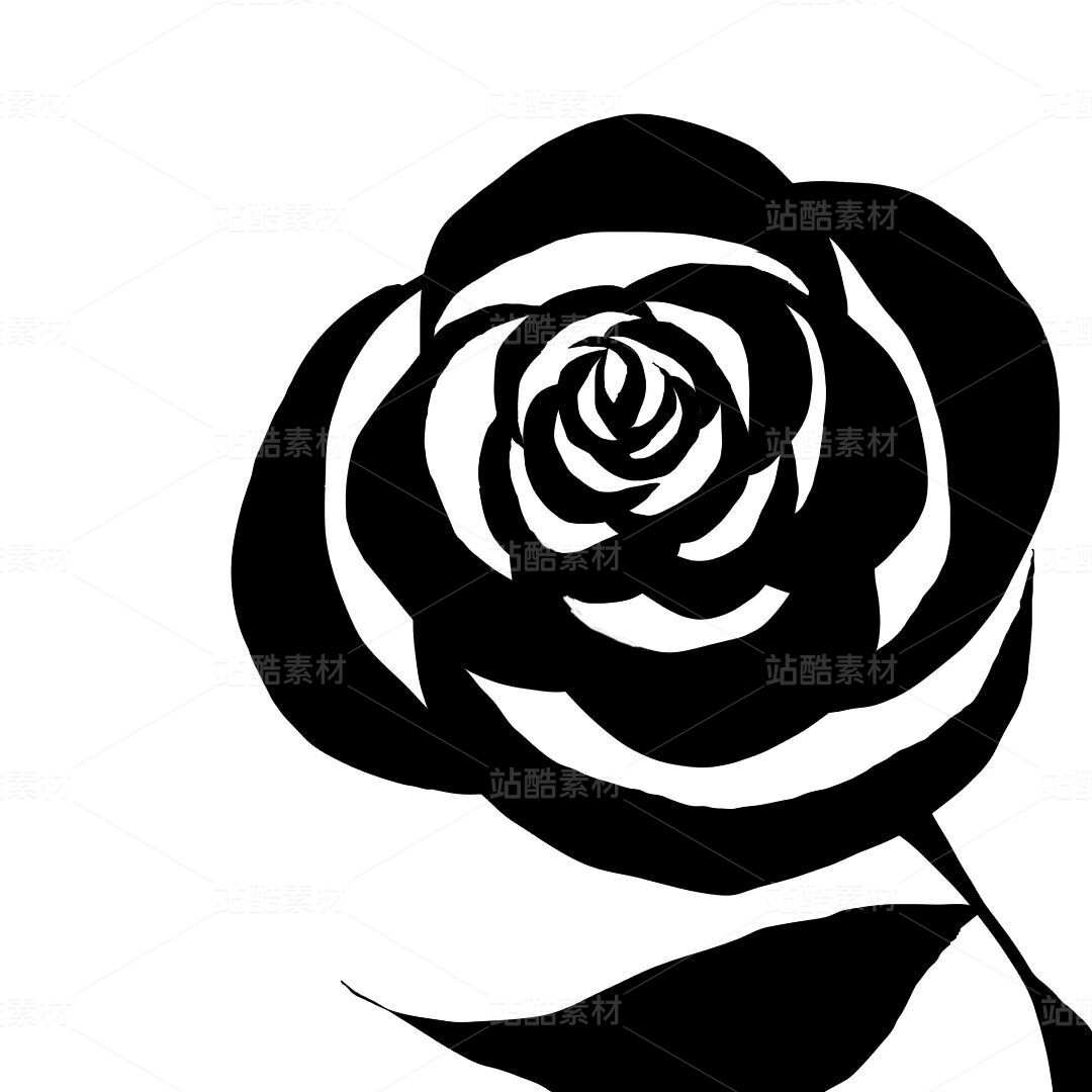 玫瑰