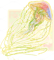 水母&魚元素素材（透明底手繪）（導航-9979203） - 未分類 - 站酷設計師阿樂在畫畫原創(chuàng)素材 - 站酷ZCOOL