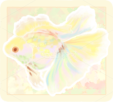 水母&魚元素素材（透明底手繪）（導航-9979207） - 未分類 - 站酷設計師阿樂在畫畫原創(chuàng)素材 - 站酷ZCOOL