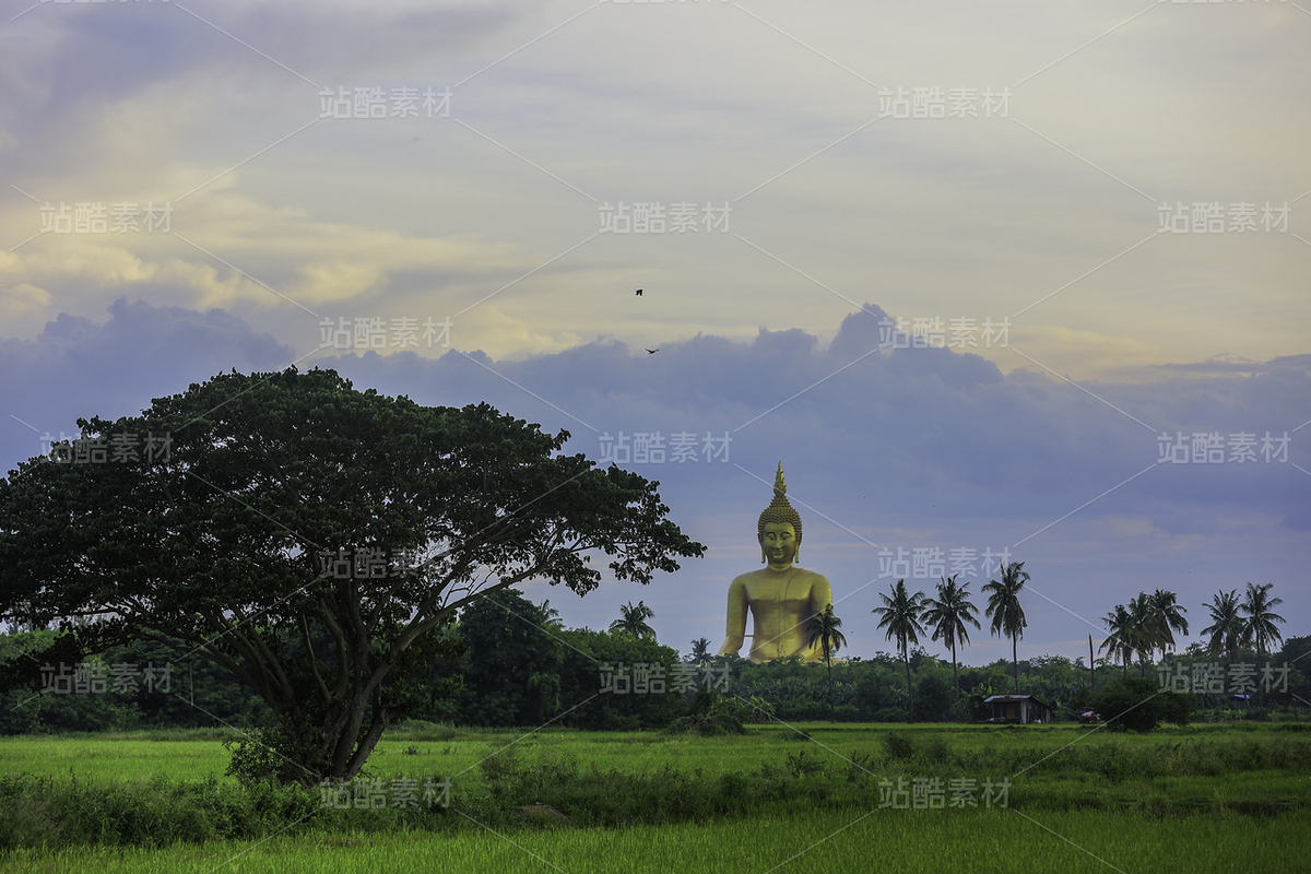 金色佛像下的田園風(fēng)光禪意景象（主預(yù)覽-10015400） - 未分類 - 站酷設(shè)計(jì)師一只姓倪的大爺原創(chuàng)素材 - 站酷ZCOOL