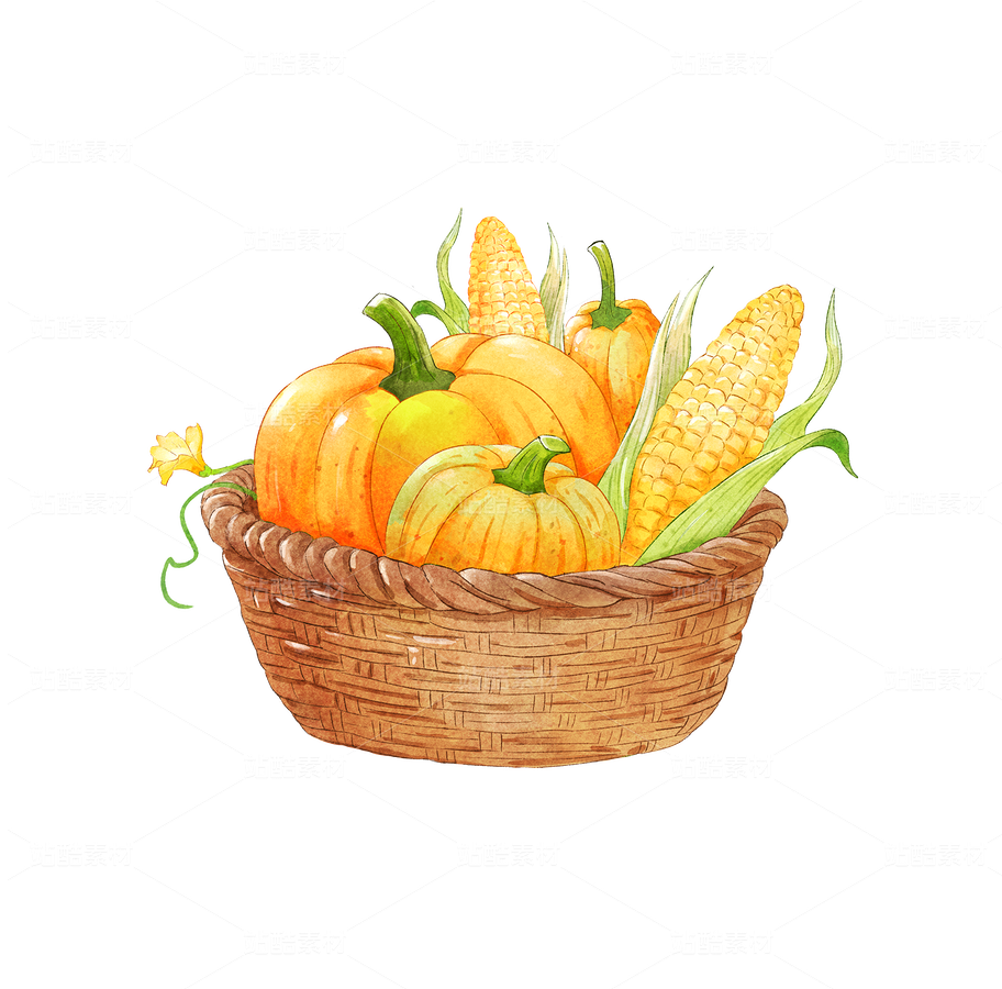 籃筐里的南瓜和玉米插畫元素（主預(yù)覽-10331049） - 未分類 - 站酷設(shè)計(jì)師卡菲原創(chuàng)素材 - 站酷ZCOOL