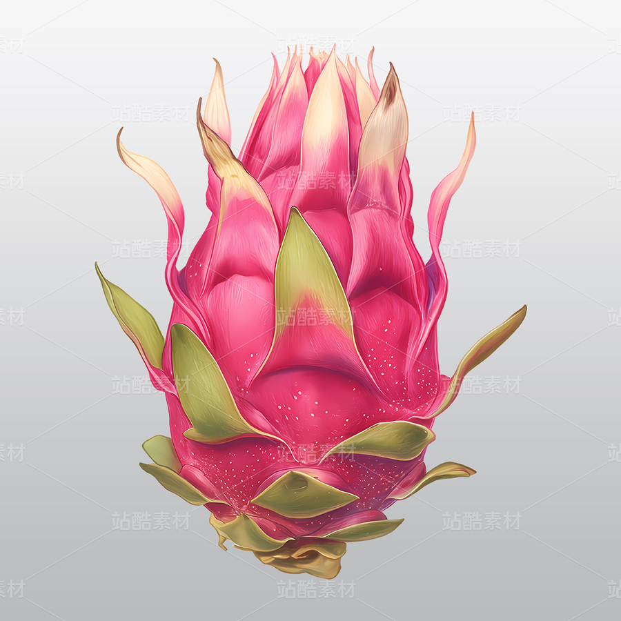 火龍果植物插畫高清透明免摳PNG圖片素材（主預(yù)覽-10515016） - 未分類 - 站酷設(shè)計(jì)師Thomas攝影視界原創(chuàng)素材 - 站酷ZCOOL