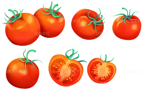 新鲜的番茄番茄汁藤叶噪点颗粒包装插画（导航-10571268） - 未分类 - 站酷设计师東晨原创素材 - 站酷ZCOOL