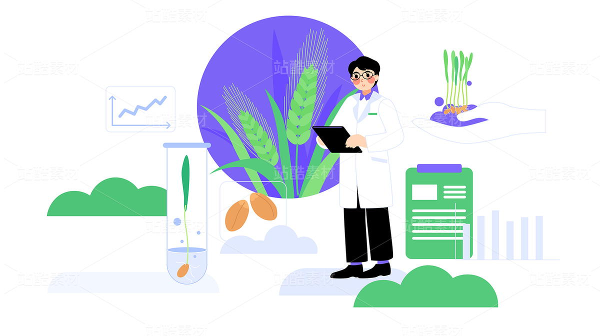 小麦培育农科研究员信息科研矢量插画（主预览-10663956） - 未分类 - 站酷设计师東晨原创素材 - 站酷ZCOOL