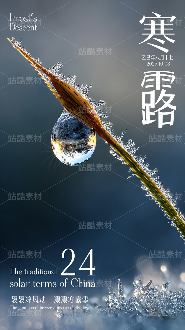 简约实景寒露节气海报模板