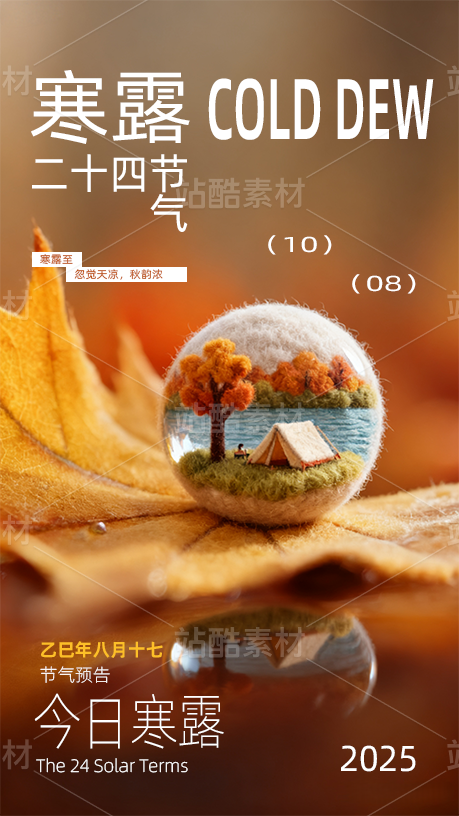 毛毡手作寒露节气海报模板