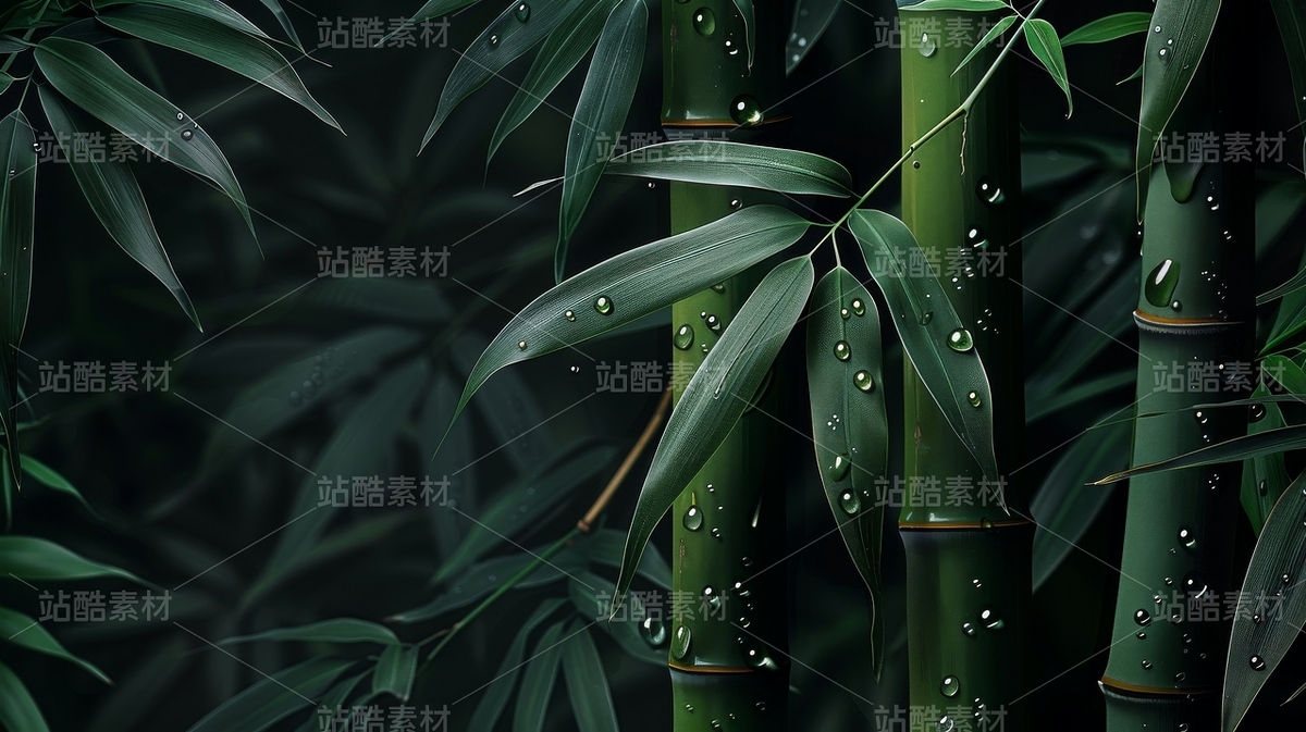 新中式國風(fēng)竹子背景壁畫插圖壁紙（主預(yù)覽-11565962） - 未分類 - 站酷設(shè)計(jì)師WfWekG62Bj原創(chuàng)素材 - 站酷ZCOOL
