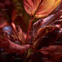 電商產品植物美妝產品背景圖（導航-11732130） - 未分類 - 站酷設計師哈哈哈哈娜原創(chuàng)素材 - 站酷ZCOOL