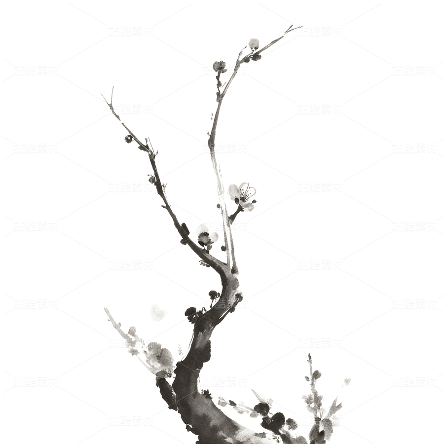 水墨梅花01(主预览-11800759) - 未分类 - 站酷设计师波子CLD原创素材 - 站酷ZCOOL
