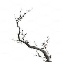 水墨梅花01(导航-11800756) - 未分类 - 站酷设计师波子CLD原创素材 - 站酷ZCOOL