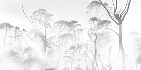 朦胧植物素材装饰画（导航-12204949） - 未分类 - 站酷设计师JpUTfAYxcN原创素材 - 站酷ZCOOL