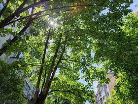 夏天（導(dǎo)航-12260275） - 未分類 - 站酷設(shè)計(jì)師繪光攝影原創(chuàng)素材 - 站酷ZCOOL