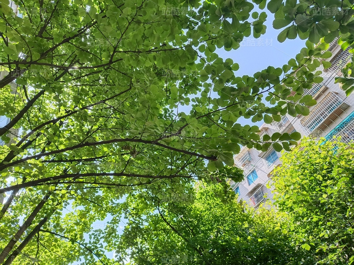 夏天（主預(yù)覽-12260274） - 未分類 - 站酷設(shè)計(jì)師繪光攝影原創(chuàng)素材 - 站酷ZCOOL