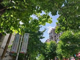 夏天（導(dǎo)航-12260273） - 未分類 - 站酷設(shè)計(jì)師繪光攝影原創(chuàng)素材 - 站酷ZCOOL