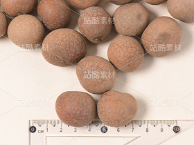 桂圓干（導(dǎo)航-13085163） - 未分類 - 站酷設(shè)計師星際星雨原創(chuàng)素材 - 站酷ZCOOL