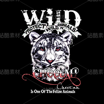 獵豹字母圖案（導(dǎo)航-13087140） - 未分類 - 站酷設(shè)計(jì)師CapsuleX原創(chuàng)素材 - 站酷ZCOOL