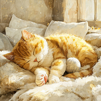 躺躺橘的治愈日常（導(dǎo)航-13087206） - 未分類 - 站酷設(shè)計師一Xin設(shè)計一原創(chuàng)素材 - 站酷ZCOOL