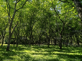 夏日治愈系自然风景摄影素材(导航-13091208) - 未分类 - 站酷设计师zGcw336HjD原创素材 - 站酷ZCOOL