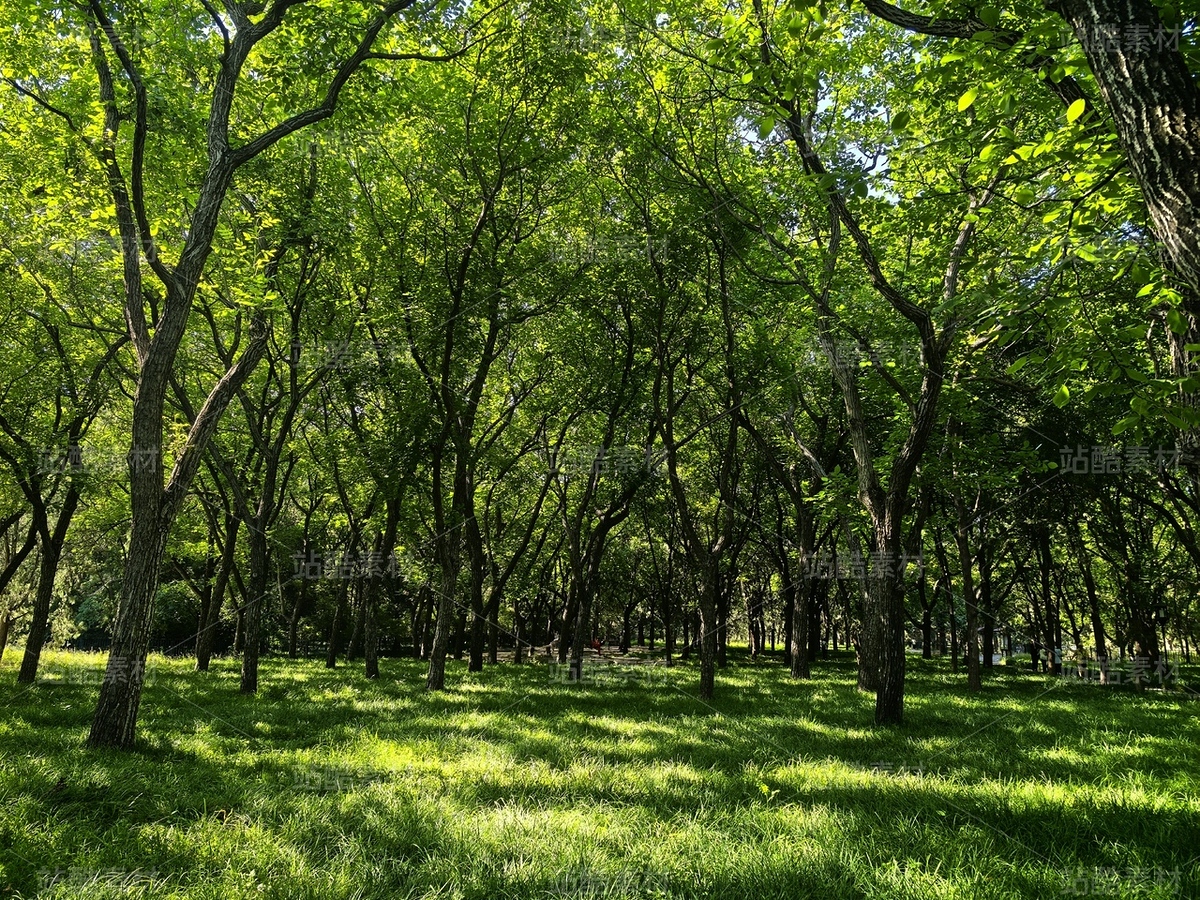 夏日治愈系自然风景摄影素材(主预览-13091208) - 未分类 - 站酷设计师zGcw336HjD原创素材 - 站酷ZCOOL
