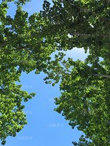 夏日治愈系自然风景摄影素材(导航-13091209) - 未分类 - 站酷设计师zGcw336HjD原创素材 - 站酷ZCOOL