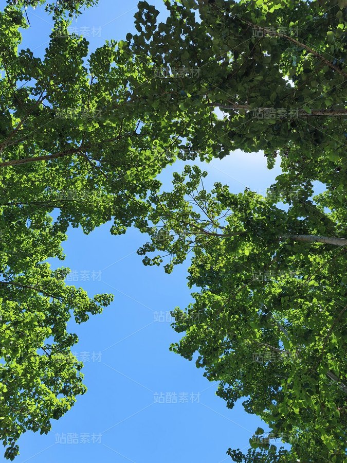 夏日治愈系自然风景摄影素材(主预览-13091209) - 未分类 - 站酷设计师zGcw336HjD原创素材 - 站酷ZCOOL