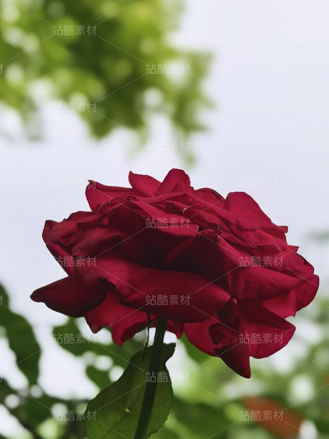 夏日治愈系自然风景摄影素材(主预览-13091210) - 未分类 - 站酷设计师zGcw336HjD原创素材 - 站酷ZCOOL